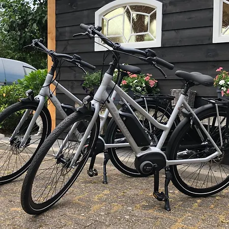 Molenhuiszuilichem 3*