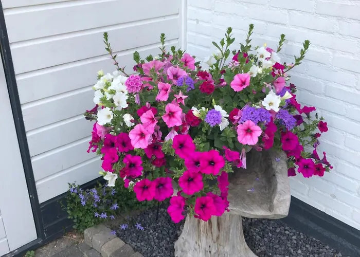 Molenhuiszuilichem 3* Zuilichem