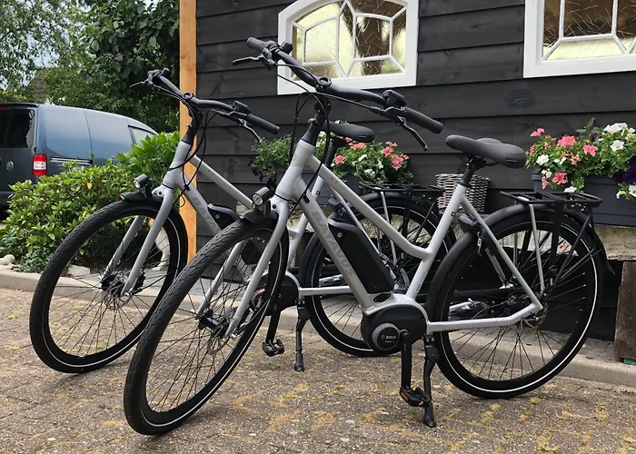 Molenhuiszuilichem 3*